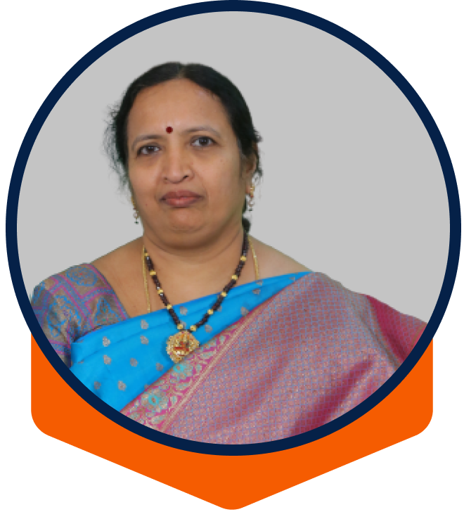 Saitronix Electro Drives PVT. LTD. - Directors